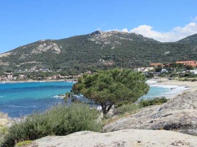 T2 Renove 100M Plage Avec Spa Privatif Entre Calvi Et Ile Rousse Lumio  Exterior photo